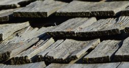 roof shingle