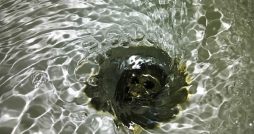 prevent clogged drain