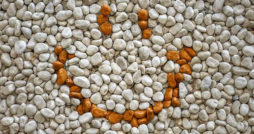 gravel driveway