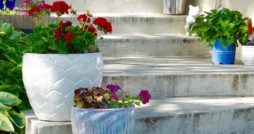 flower container