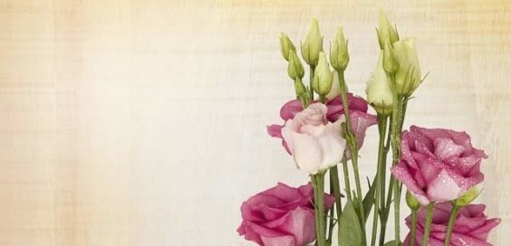 adding color to home