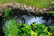 How To Prevent Bad Smells From a Residential Pond