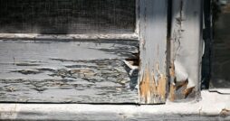 The Process of Fixing Your Rotted Wood Problem