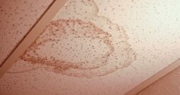 Common Causes of Water Stains in Your Home