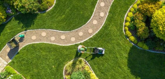 3 Tips for Successful Summer Landscaping