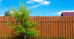 The Different Styles of Fences To Install in Your Backyard
