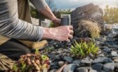 Helpful Tips for Landscape Lighting Placement
