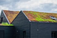 What You Need To Know About Green Eco-Roofs