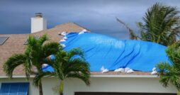 Top Causes of Roof Damage and How To Avoid Them