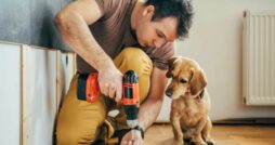 Home Improvement Projects You Don’t Need Pros For