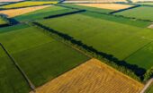 A Quick and Useful Guide to Buying Farmland