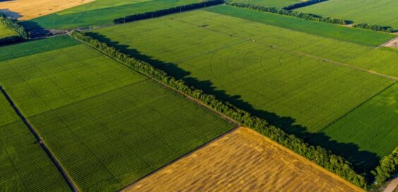 A Quick and Useful Guide to Buying Farmland