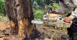 Mistakes To Avoid With Your Country Property