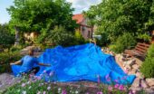 Two people spreading a large blue pond liner in a backyard surrounded by flowers, bushes, and trees on a sunny day.