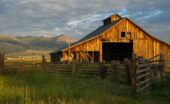An old wooden barn standing in an open field on an agricultural property. It is surrounded by a simple fence.