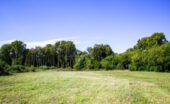 An open plot of land already prepared for building. There is a large open field with tall trees right behind it.