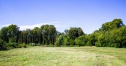 An open plot of land already prepared for building. There is a large open field with tall trees right behind it.