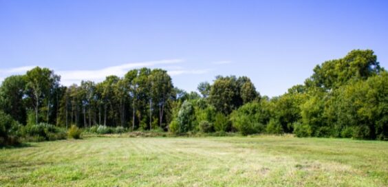 An open plot of land already prepared for building. There is a large open field with tall trees right behind it.