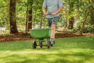 A man spreading fertilizer on the lawn with a push spreader, maintaining healthy grass and garden care in a yard.