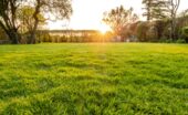 The setting sun lights a lush green lawn while the trees and hedges frame a quiet backyard area behind a new home.