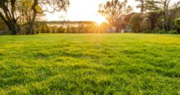 The setting sun lights a lush green lawn while the trees and hedges frame a quiet backyard area behind a new home.