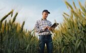 A farmer wearing a hat in a wheat field during the daytime. The farmer looks at a small tablet in their hands.