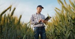 A farmer wearing a hat in a wheat field during the daytime. The farmer looks at a small tablet in their hands.