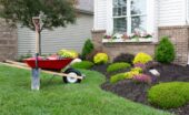 A wheelbarrow and shovel near a home’s front yard during the daytime. The yard is full of colorful flowers.