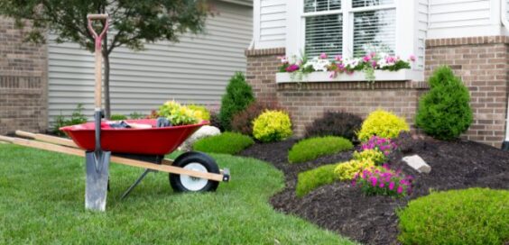 A wheelbarrow and shovel near a home’s front yard during the daytime. The yard is full of colorful flowers.