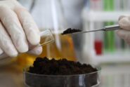 White-gloved hands holding a glass test tube and a metal spatula filled with dark soil above a glass dish of soil.