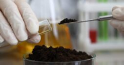 White-gloved hands holding a glass test tube and a metal spatula filled with dark soil above a glass dish of soil.