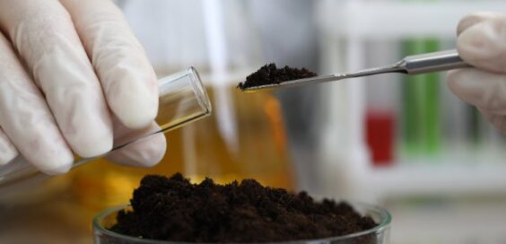 White-gloved hands holding a glass test tube and a metal spatula filled with dark soil above a glass dish of soil.